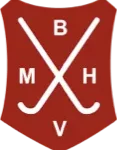 Veiligheidsrisico door hockeyballen